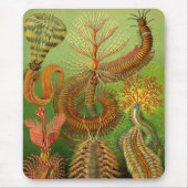 Haeckel Centipedes Muismat (Voorkant)