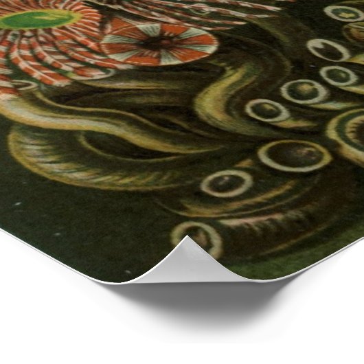 Haeckel Centipedes Poster (Hoek)