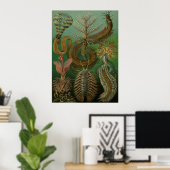 Haeckel Centipedes Poster (Thuiskantoor)