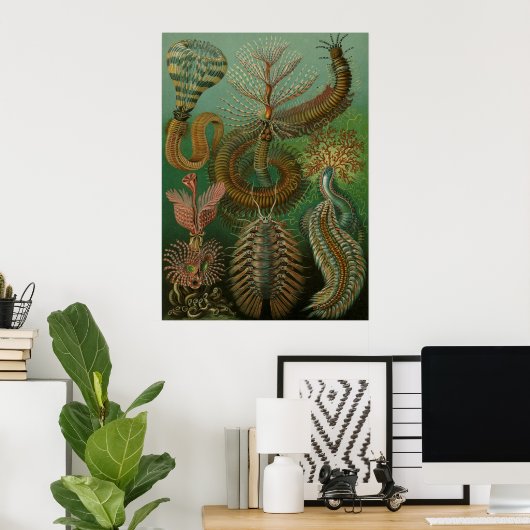 Haeckel Centipedes Poster (Thuiskantoor)