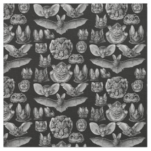 Haeckel Chiroptera 1904 Stof