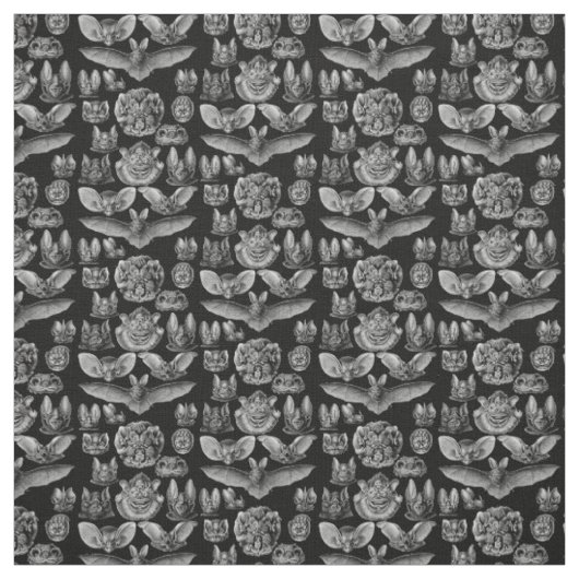 Haeckel Chiroptera 1904 Stof (Swatch)