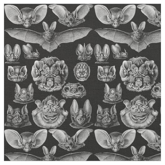 Haeckel Chiroptera 1904 Stof (Close Up)