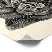 Haeckel Chiroptera Poster (Hoek)