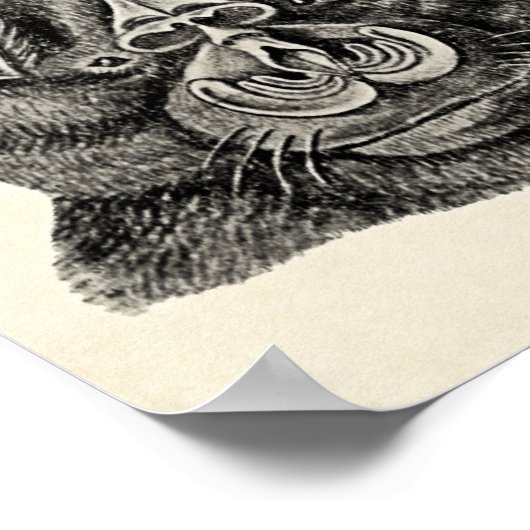 Haeckel Chiroptera Poster (Hoek)