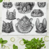 Haeckel Chiroptera Theedoek (Gevouwen)