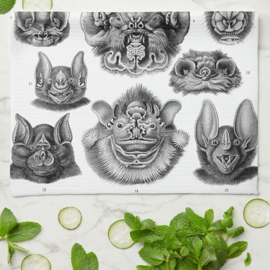 Haeckel Chiroptera Theedoek (Gevouwen)