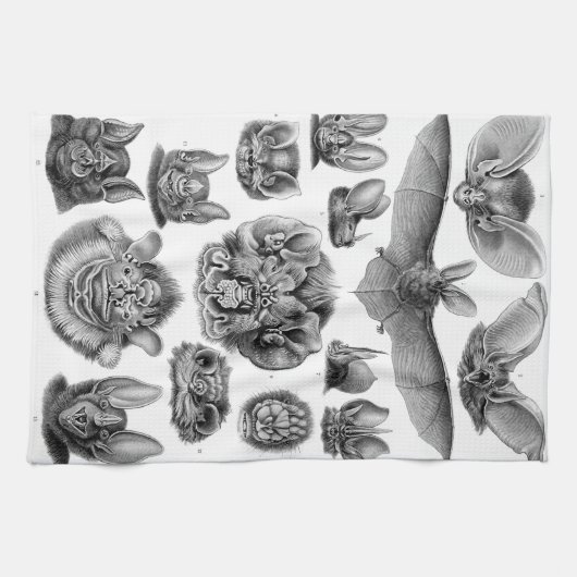 Haeckel Chiroptera Theedoek (Horizontaal)