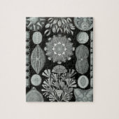 Haeckel Diatomea Legpuzzel (Verticaal)