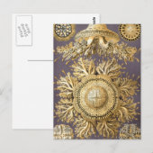 Haeckel Discomedusae Briefkaart (Voorkant / Achterkant)