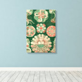 Haeckel Discomedusae Canvas Afdruk (Insitu (Houten vloer))