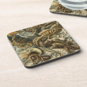 Haeckel Drankjes Onderzetter (Linkerzijde)