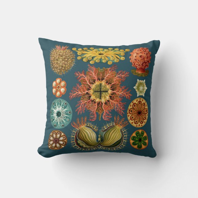 Haeckel Echinoderm kussen turquoise (Voorkant)