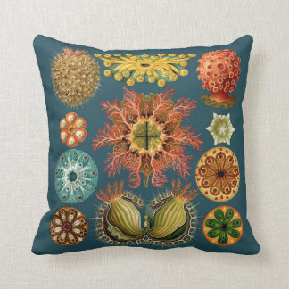 Haeckel Echinoderm kussen turquoise