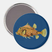 Haeckel Fish Magneet (Voorkant / Achterkant)