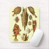 Haeckel Fish Muismat (Met muis)