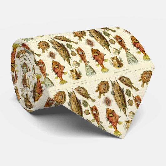 Haeckel Fish Stropdas (Opgerold)