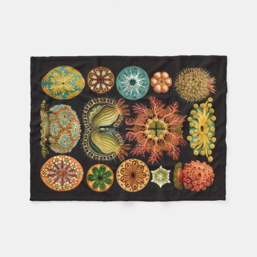 Haeckel Fleece Blanket (Voorkant (Horizontaal))