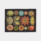 Haeckel Fleece Blanket Deken (Voorkant (Horizontaal))