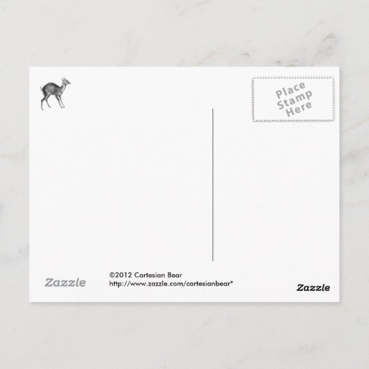 Haeckel Four Horned Deer Briefkaart (Achterkant)