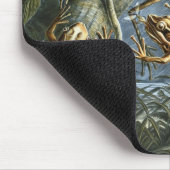 Haeckel Frogs Muismat (Hoek)