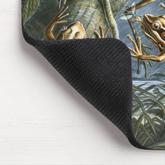 Haeckel Frogs Muismat (Hoek)