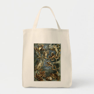 Haeckel Frogs Tote Bag