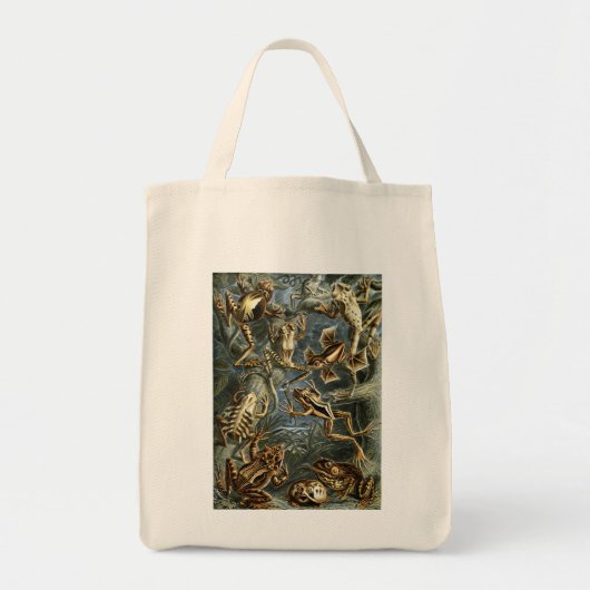 Haeckel Frogs Tote Bag (Voorkant)