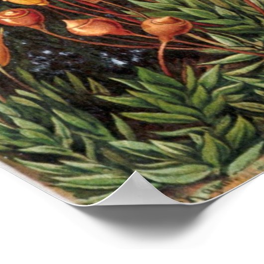 Haeckel Garden Poster (Hoek)