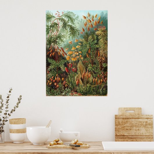 Haeckel Garden Poster (Keuken)