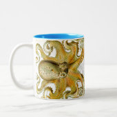Haeckel Giant Octopus Mok (Links)