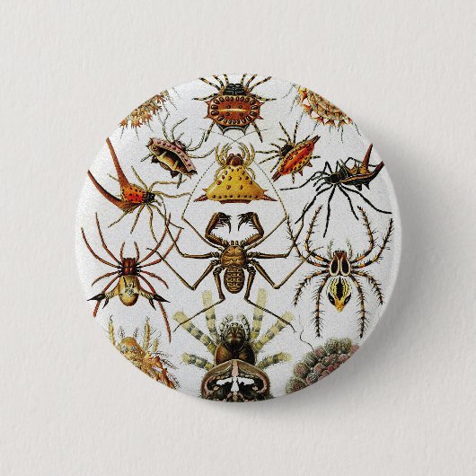 Haeckel Golden Spiders bord 66 Ronde Button 5,7 Cm (Voorkant)