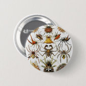 Haeckel Golden Spiders bord 66 Ronde Button 5,7 Cm (Voorkant /achterkant)