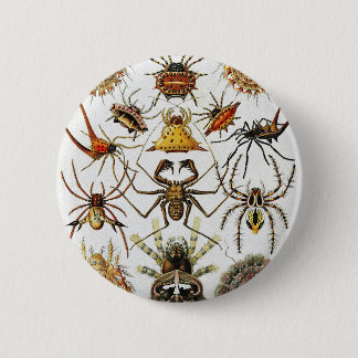 Haeckel Golden Spiders bord 66 Ronde Button 5,7 Cm