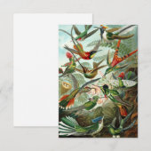 Haeckel Hummingbirds All-Occasion wenskaart Bedankkaart (Voorkant / Achterkant)
