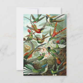 Haeckel Hummingbirds All-Occasion wenskaart Bedankkaart