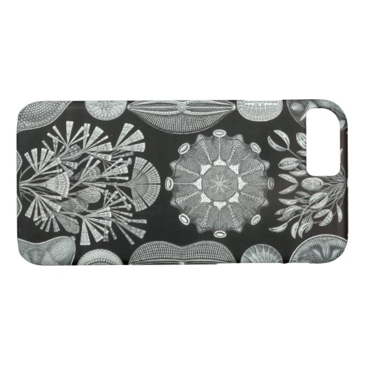 Haeckel iPhone 7 hoesje - Diatomea (Achterkant (Horizontaal))