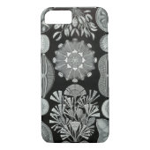 Haeckel iPhone 7 hoesje - Diatomea (Achterkant)