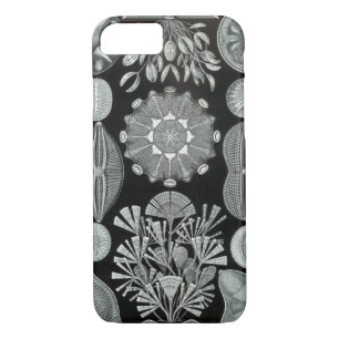 Haeckel iPhone 7 hoesje - Diatomea