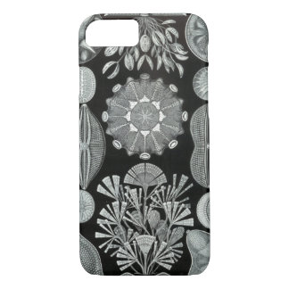 Haeckel iPhone 7 hoesje - Diatomea