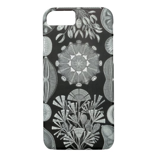 Haeckel iPhone 7 hoesje - Diatomea (Achterkant)