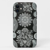 Haeckel iPhone Case - Diatomea (Achterkant)