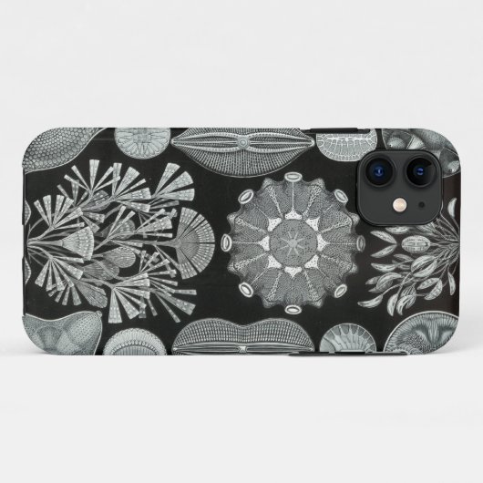 Haeckel iPhone Case - Diatomea (Achterkant (horizontaal))