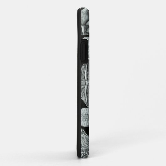 Haeckel iPhone Case - Diatomea (Achterkant/rechts)