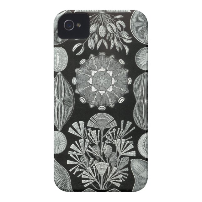 Haeckel iPhone Case - Diatomea (Achterkant)