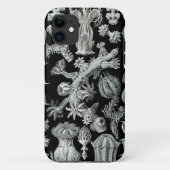 Haeckel iPhone Case - Gorgonida (Achterkant)