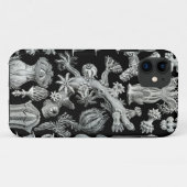 Haeckel iPhone Case - Gorgonida (Achterkant (horizontaal))