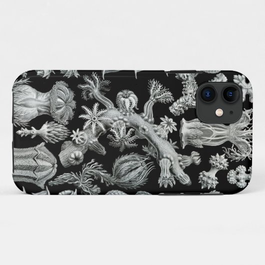 Haeckel iPhone Case - Gorgonida (Achterkant (horizontaal))