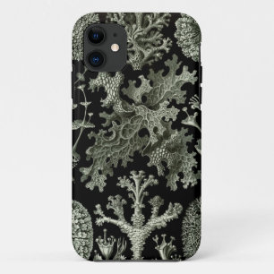 Haeckel iPhone Case - Lichenes