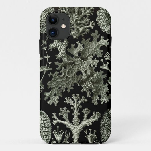 Haeckel iPhone Case - Lichenes (Achterkant)